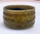 Matcha bowl bruin
