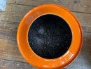 Earl Grey Fleurs Bleues 100 gr - zwarte thee