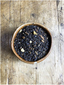 Chai Massala 100 gr - zwarte thee
