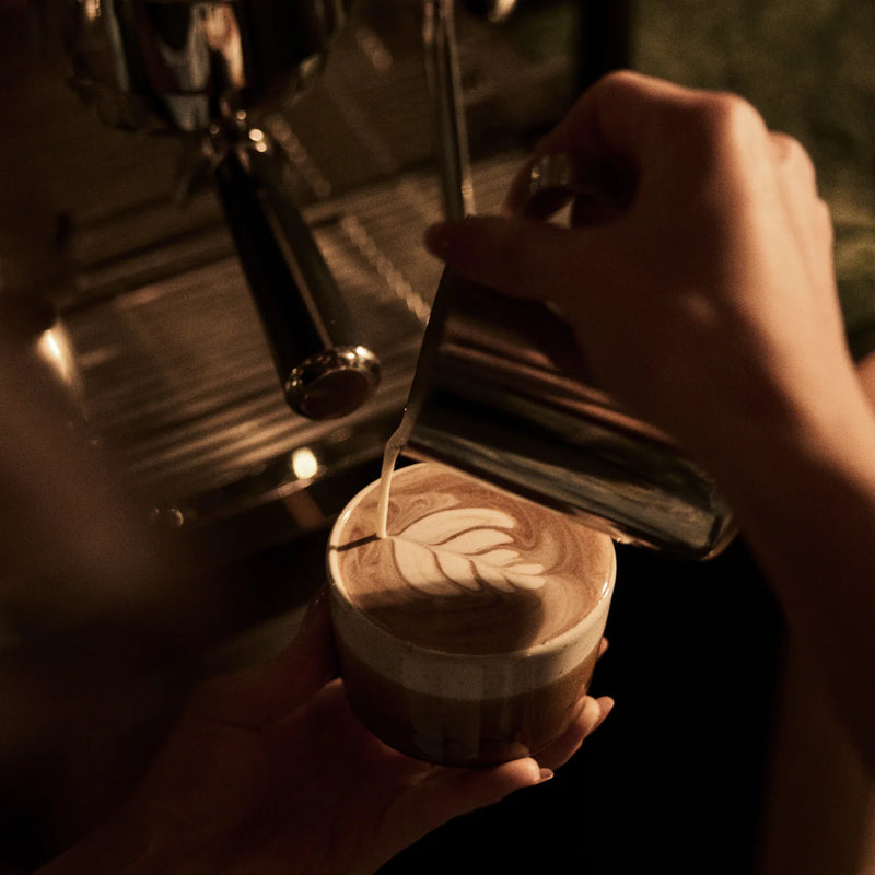 Barista cacao 250 gr - Reclaem