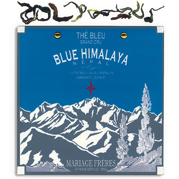 Blue Himalaya thé Blue Népal Grand Cru 50 gr