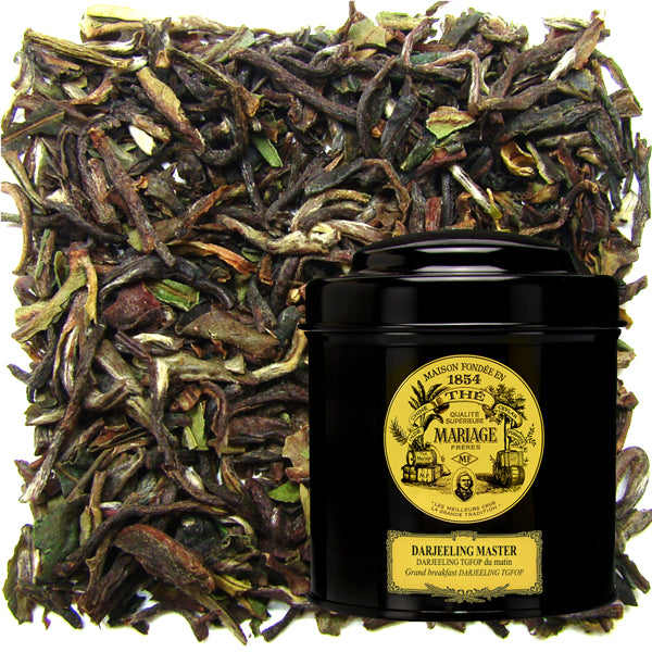 Darjeeling Master TGFOP 100 gr - zwarte thee