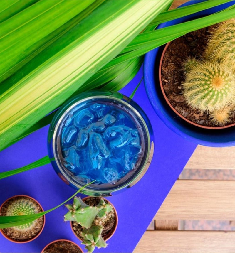 Cactus Blue French Summer Icedtea - blauwe ijsthee